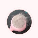 Golden Retriever Comb Brush Dog Supplies - Image 5